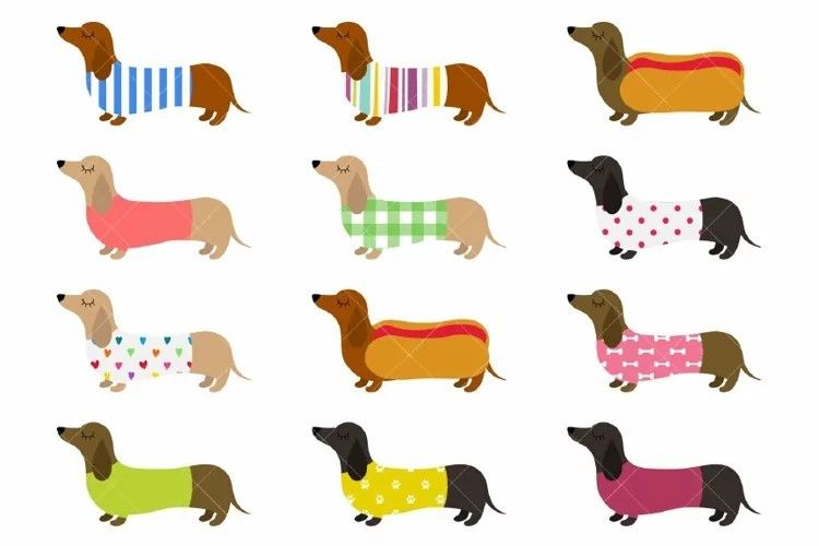 cute dachshund wallpapers 0073