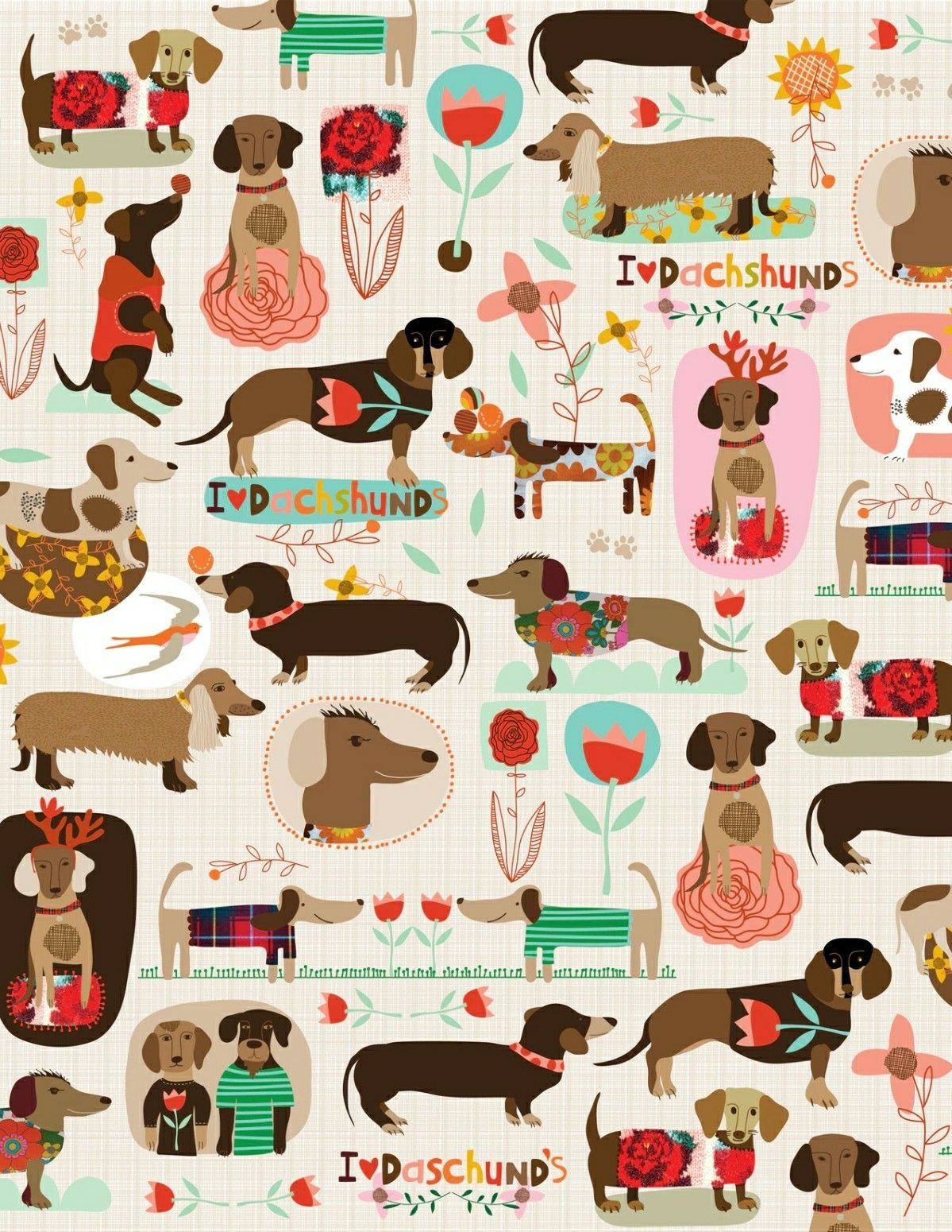 cute dachshund wallpapers 0076