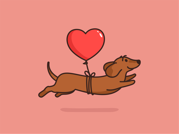 cute dachshund wallpapers 0083