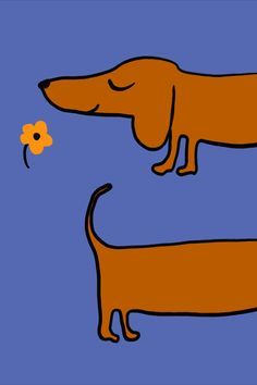 cute dachshund wallpapers 0095