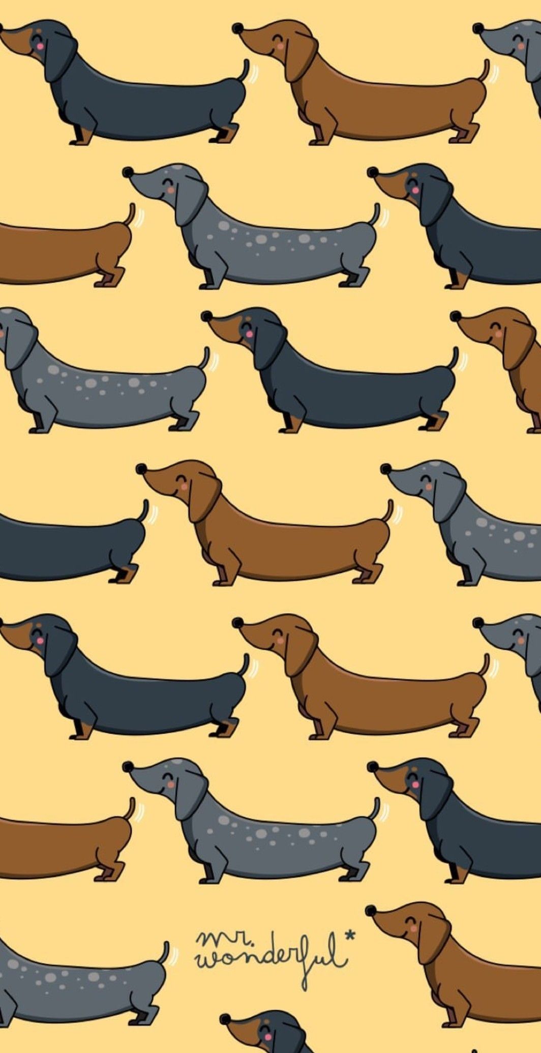 cute dachshund wallpapers 0099