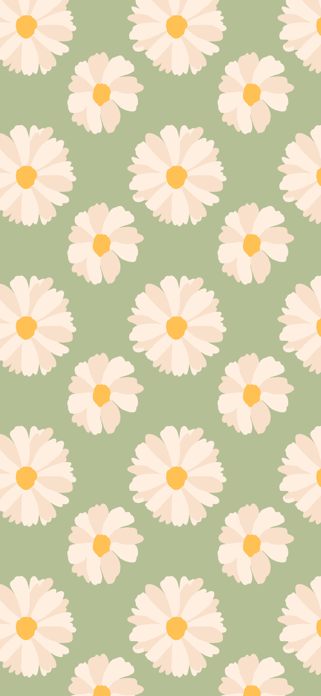 cute daisy wallpapers 0010