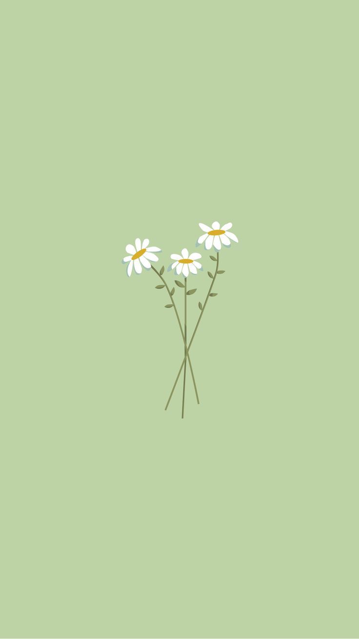 cute daisy wallpapers 0017