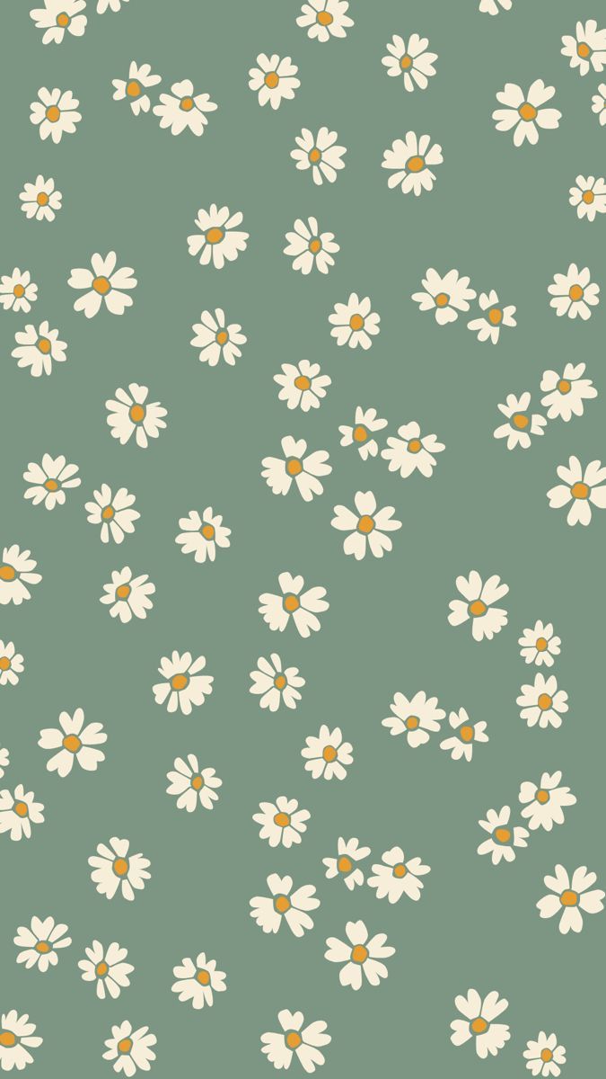 cute daisy wallpapers 0020