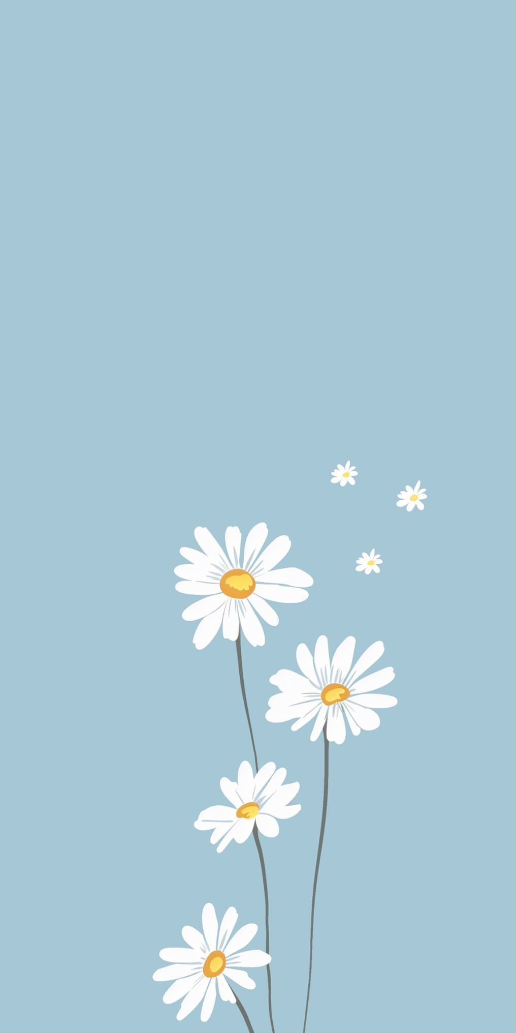 cute daisy wallpapers 0023