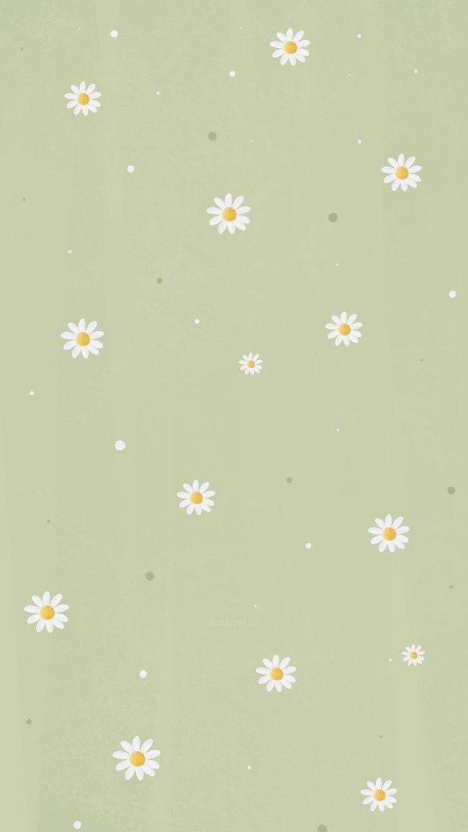 cute daisy wallpapers 0025