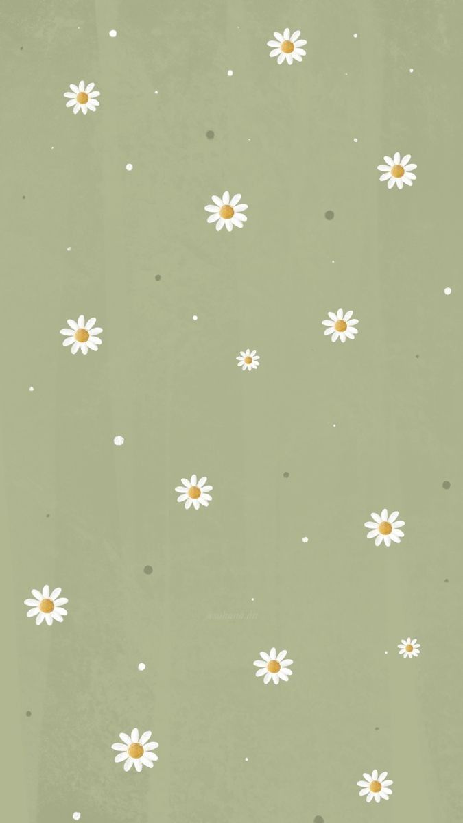 cute daisy wallpapers 0026