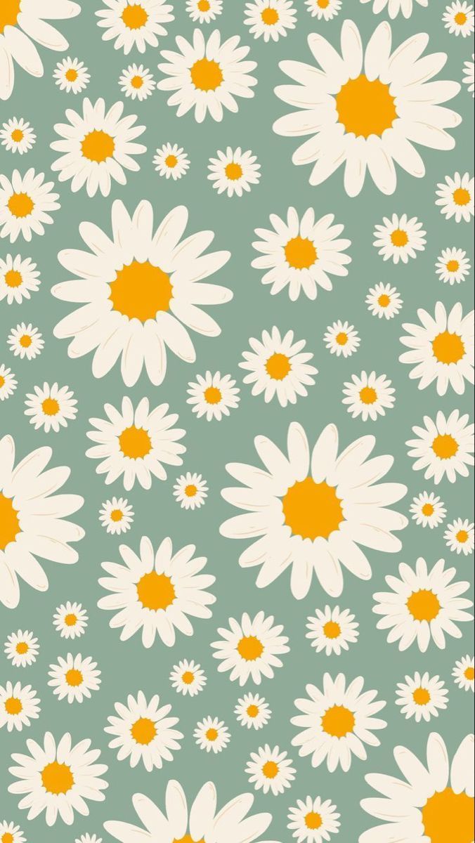 cute daisy wallpapers 0028