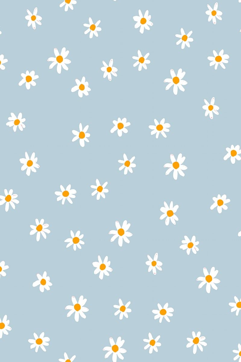 cute daisy wallpapers 0033