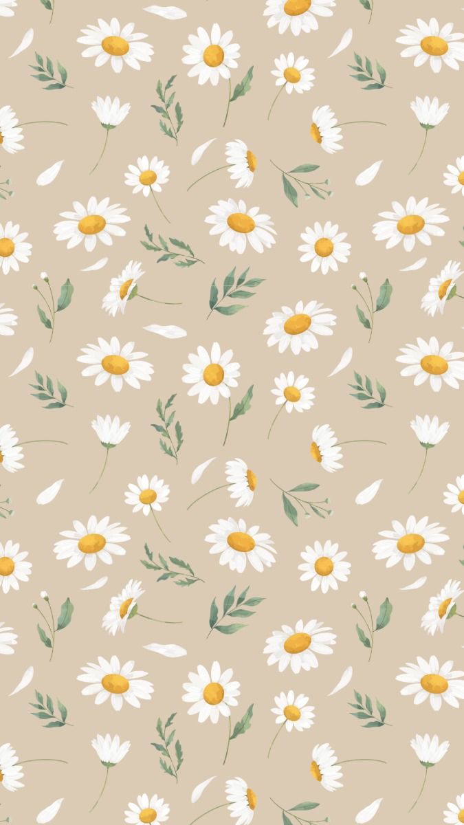 cute daisy wallpapers 0034