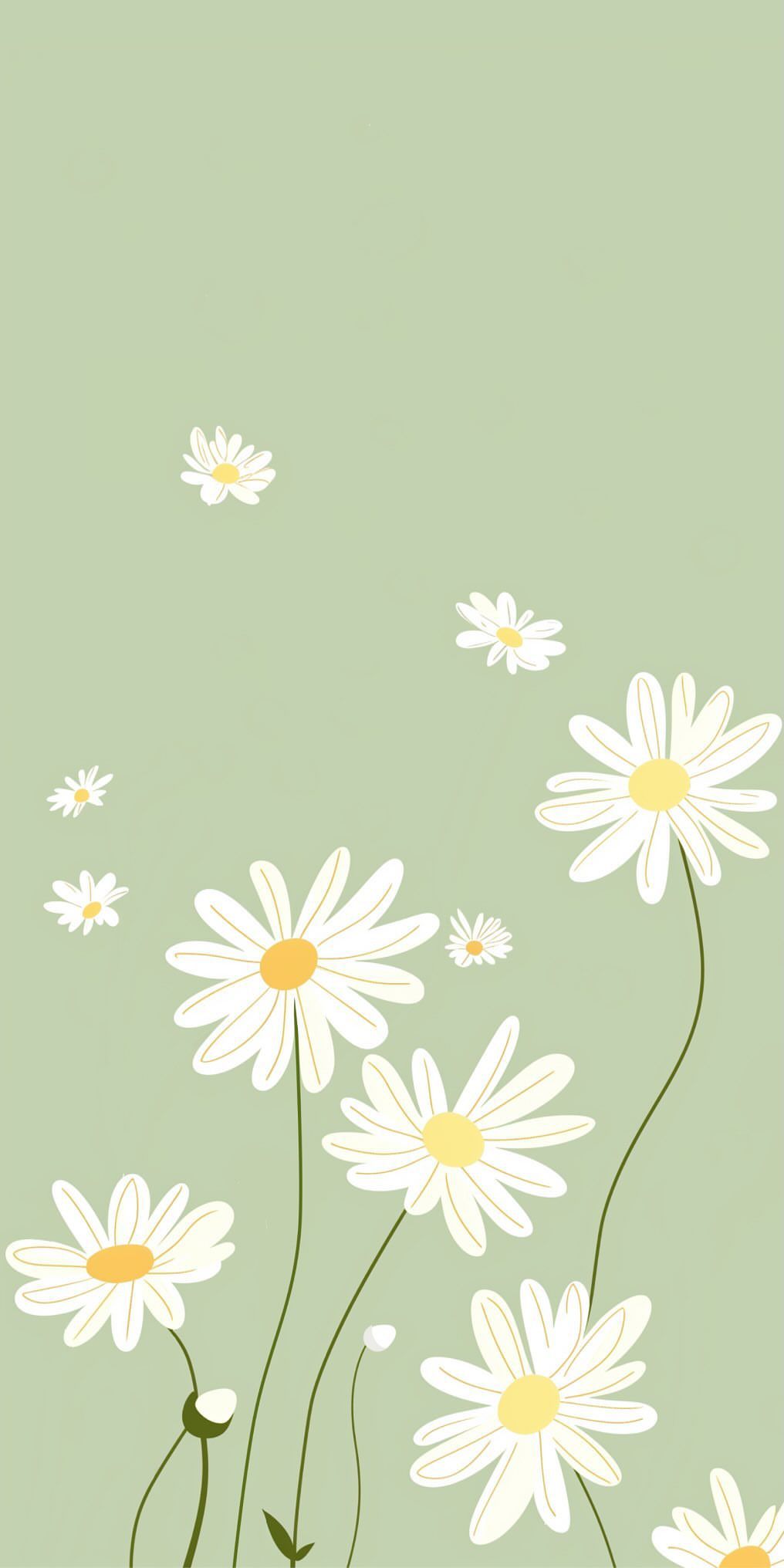 cute daisy wallpapers 0037