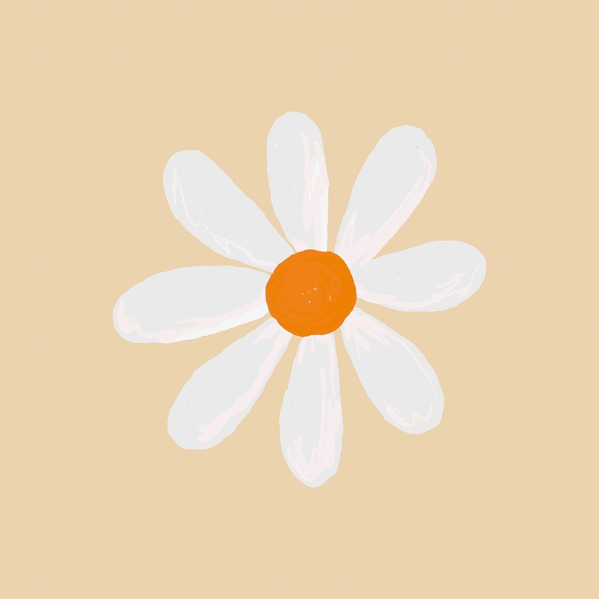 cute daisy wallpapers 0052