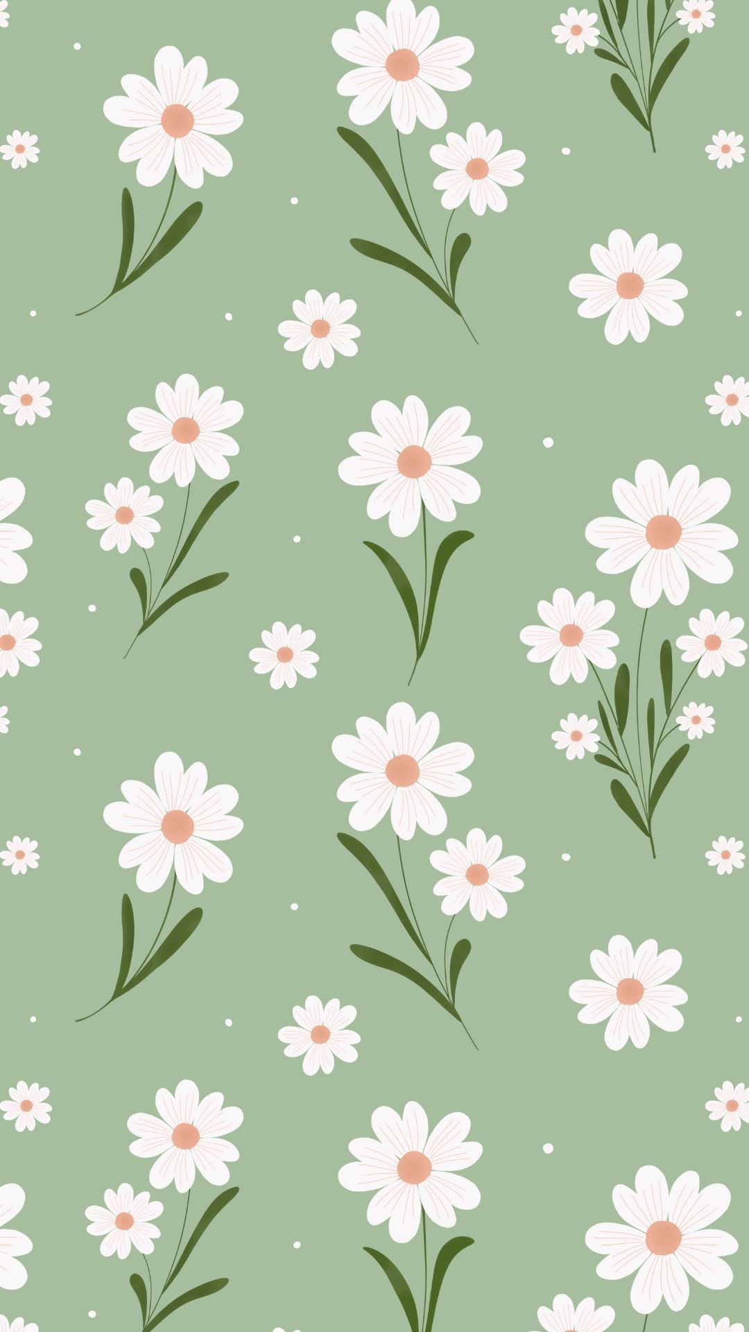 cute daisy wallpapers 0057