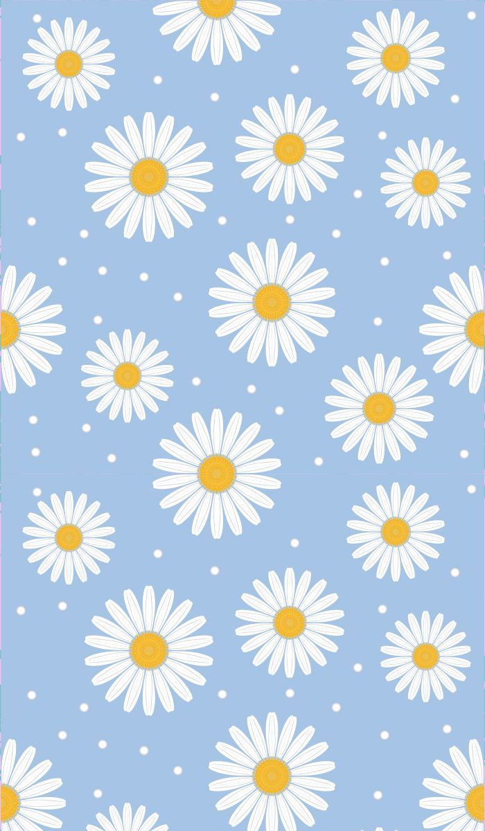 cute daisy wallpapers 0063