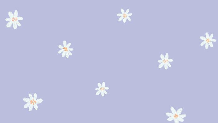 cute daisy wallpapers 0073