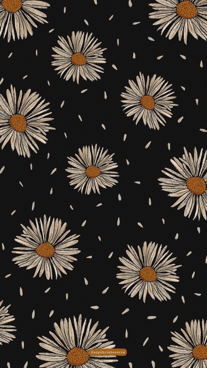 cute daisy wallpapers 0077