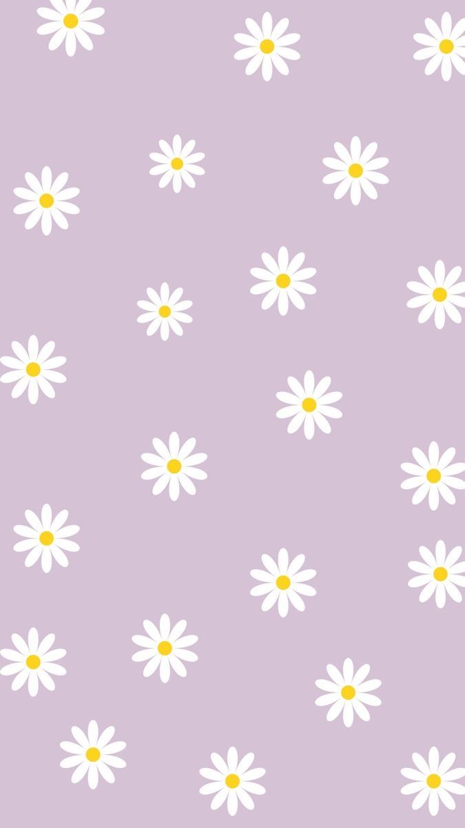 cute daisy wallpapers 0078