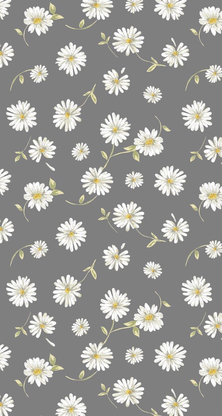 cute daisy wallpapers 0083