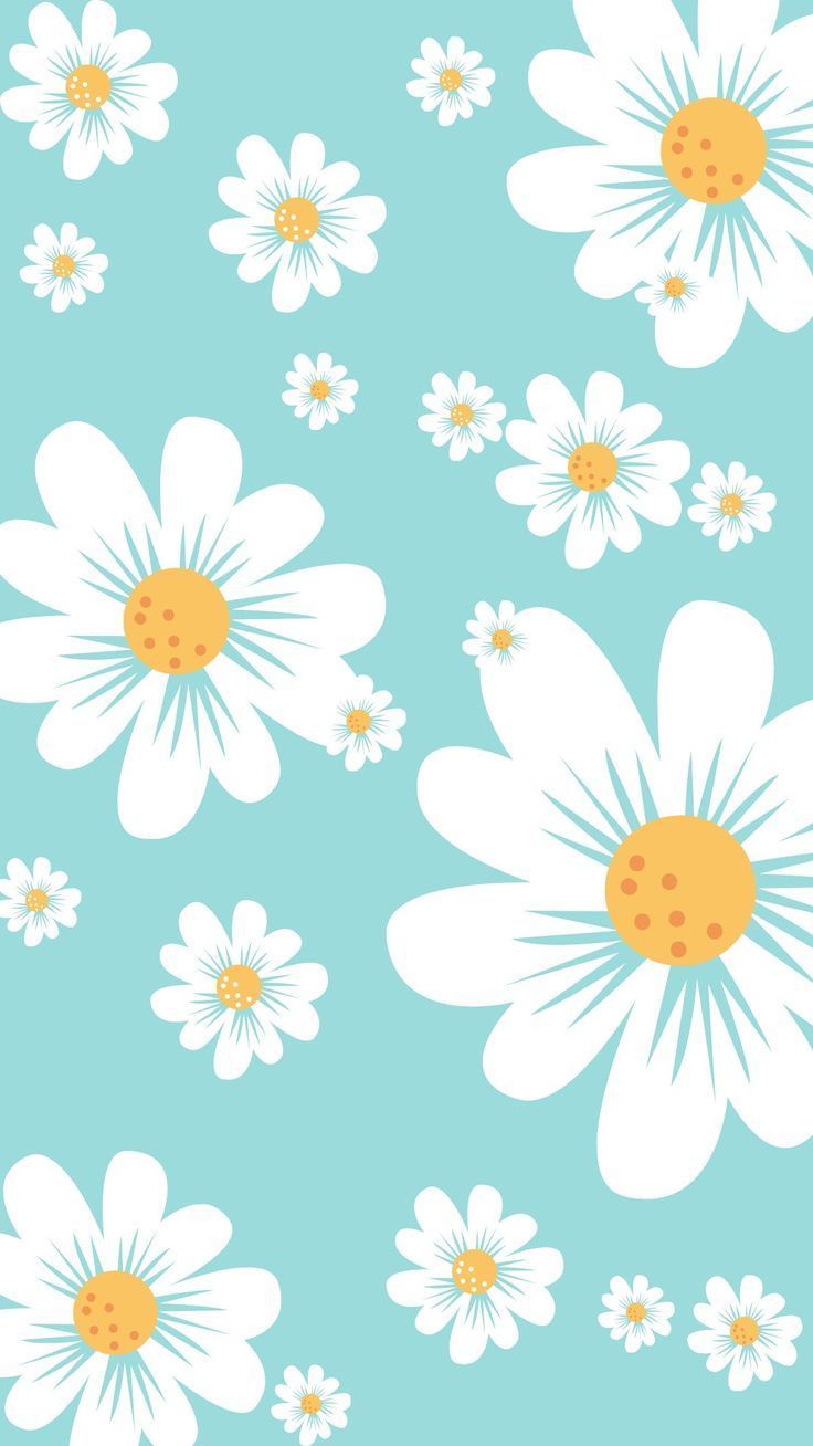 cute daisy wallpapers 0092