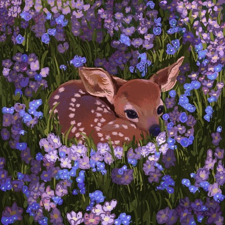 cute deer wallpapers 0012