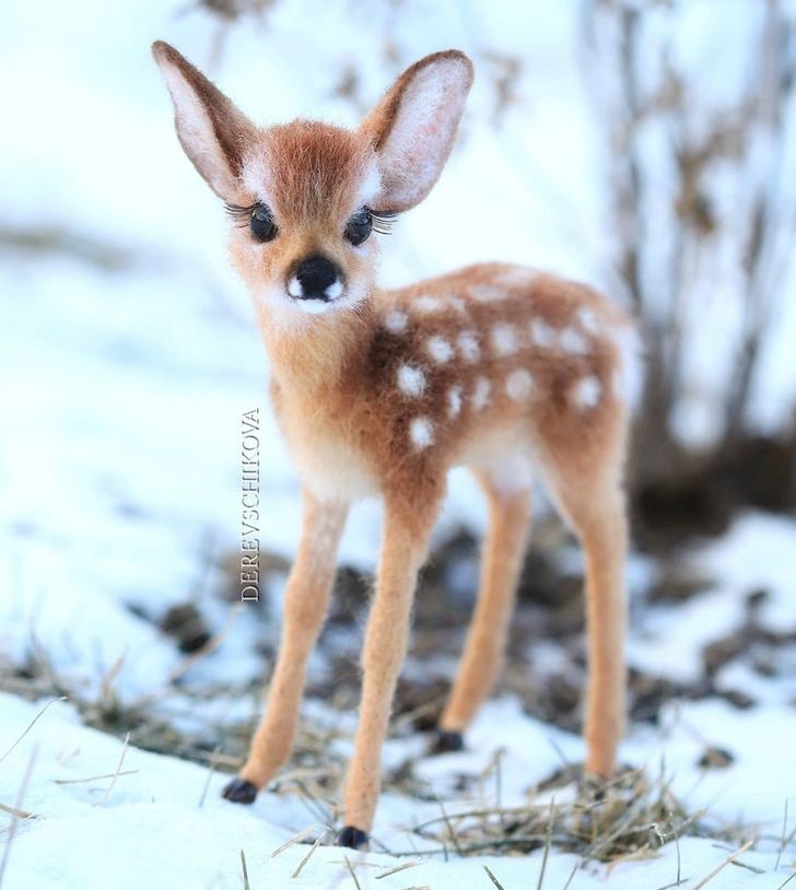 cute deer wallpapers 0064