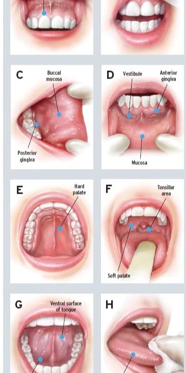 cute dental hygiene wallpaper 0071