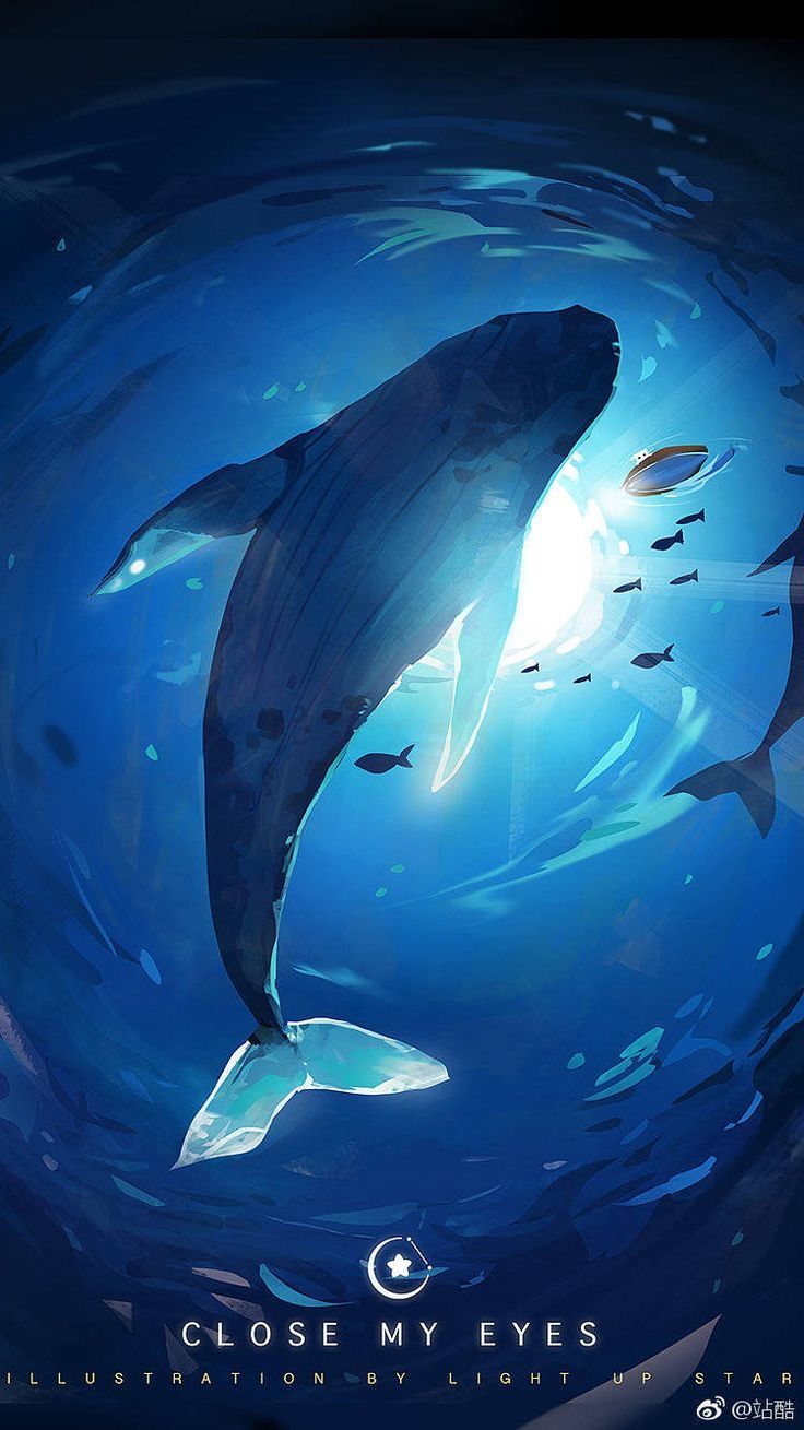 cute dolphin wallpapers 0012