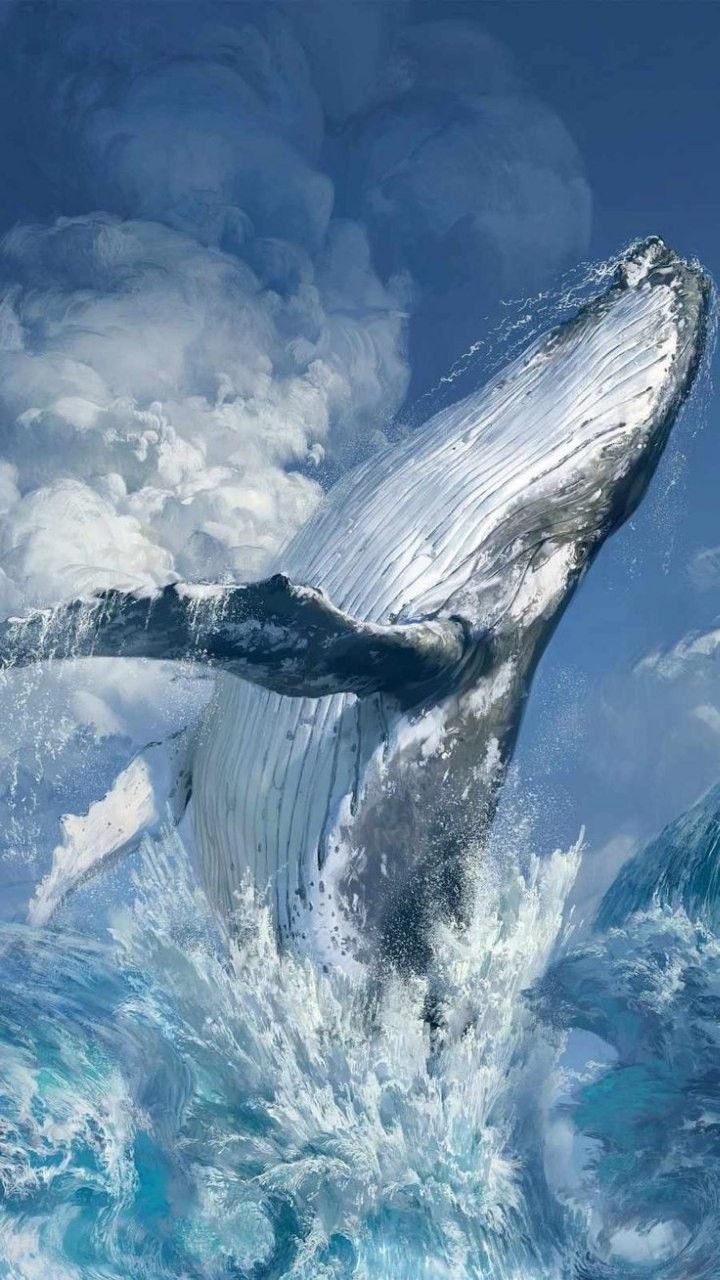 cute dolphin wallpapers 0020