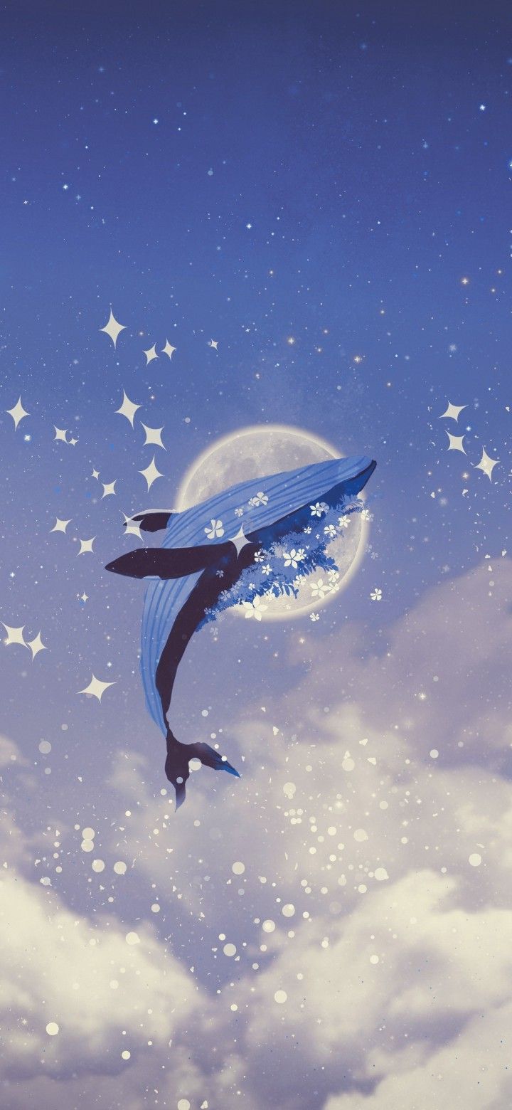 cute dolphin wallpapers 0059