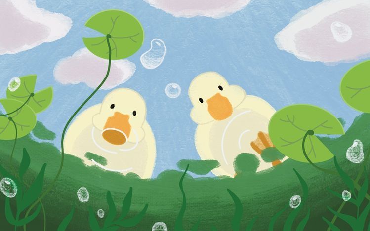 cute duck wallpapers 0010