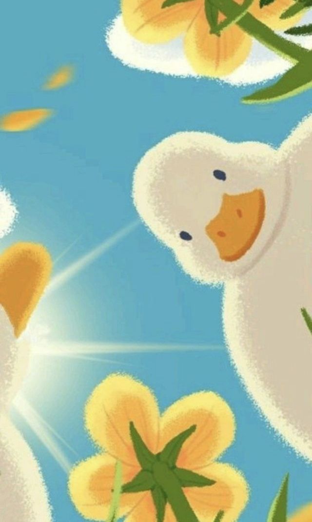 cute duck wallpapers 0024