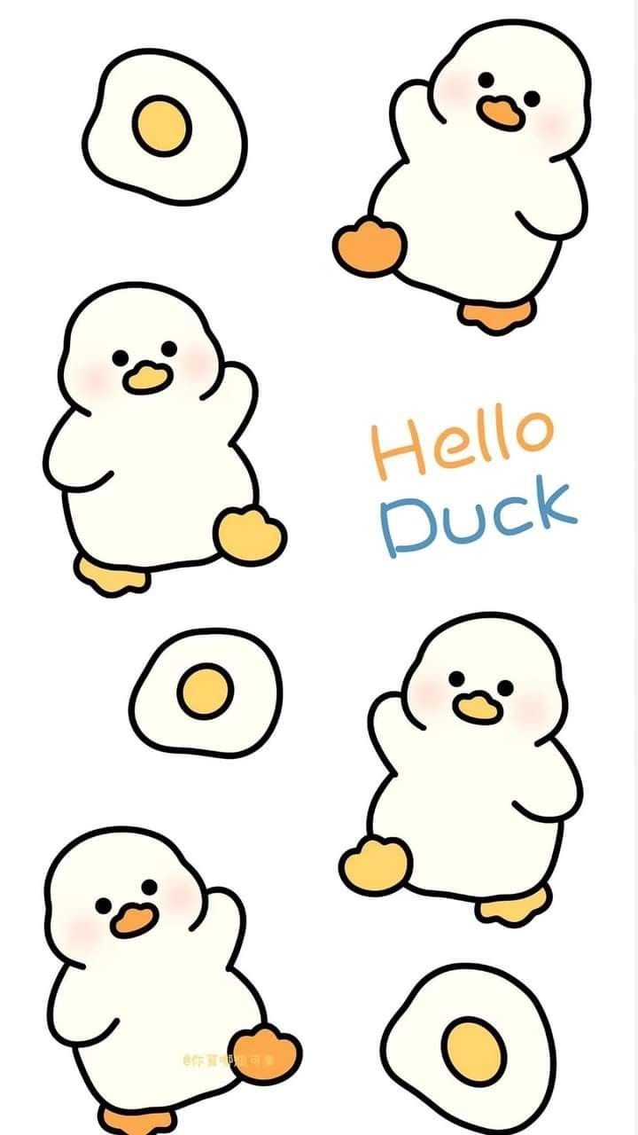 cute duck wallpapers 0027