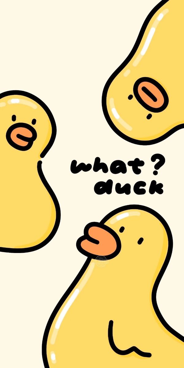 cute duck wallpapers 0033