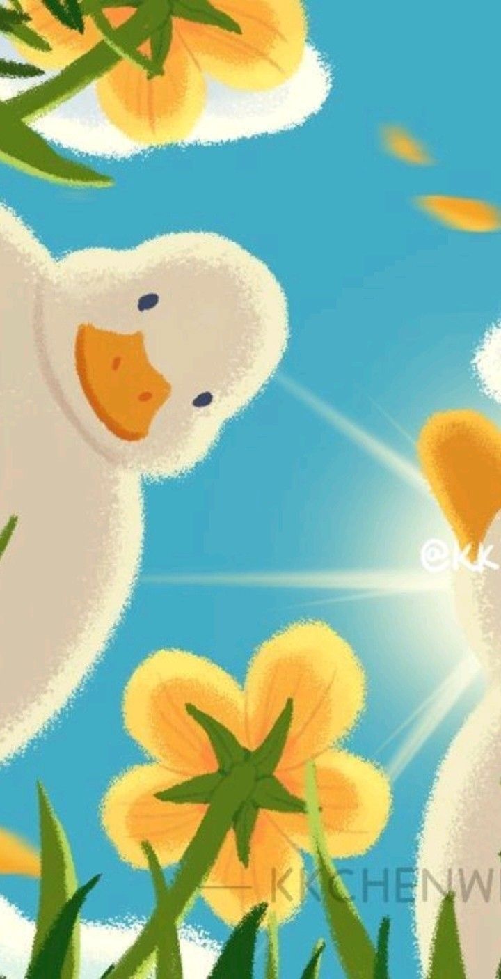 cute duck wallpapers 0038