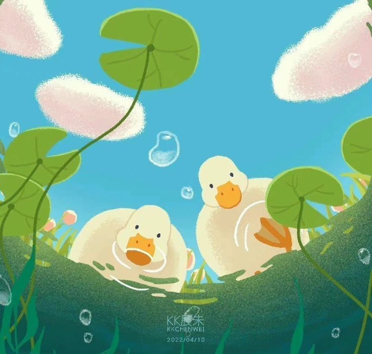 cute duck wallpapers 0043