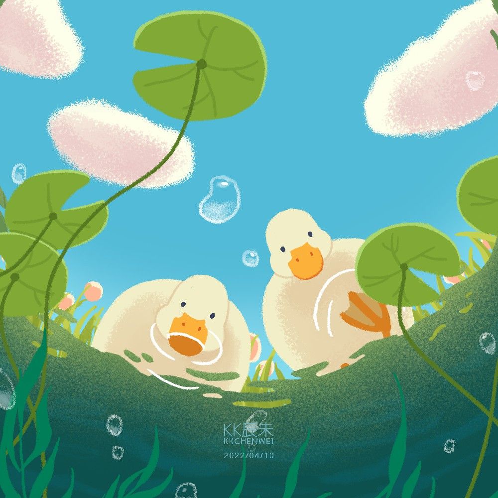 cute duck wallpapers 0070