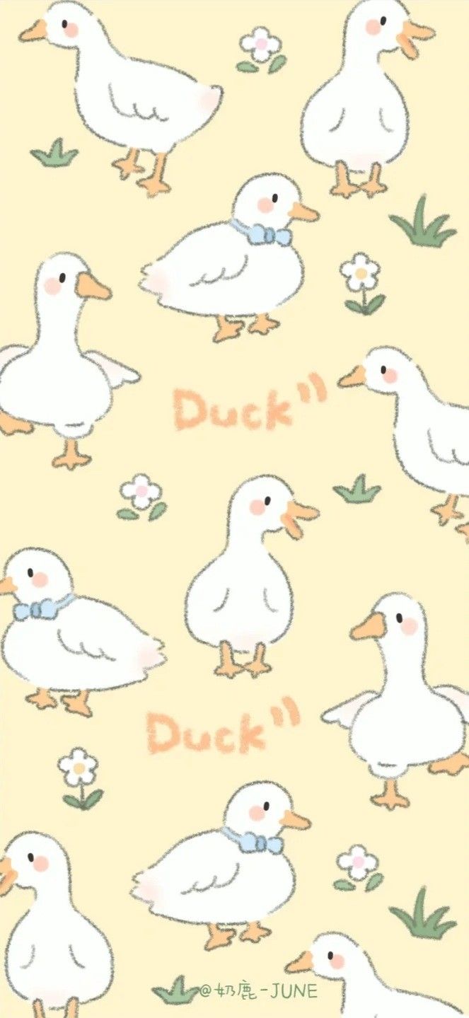 cute duck wallpapers 0085