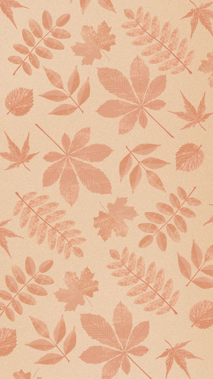 cute fall aesthetic wallpapers 0024