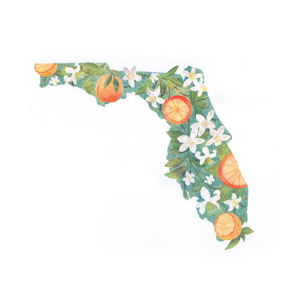 cute Florida wallpapers 0053