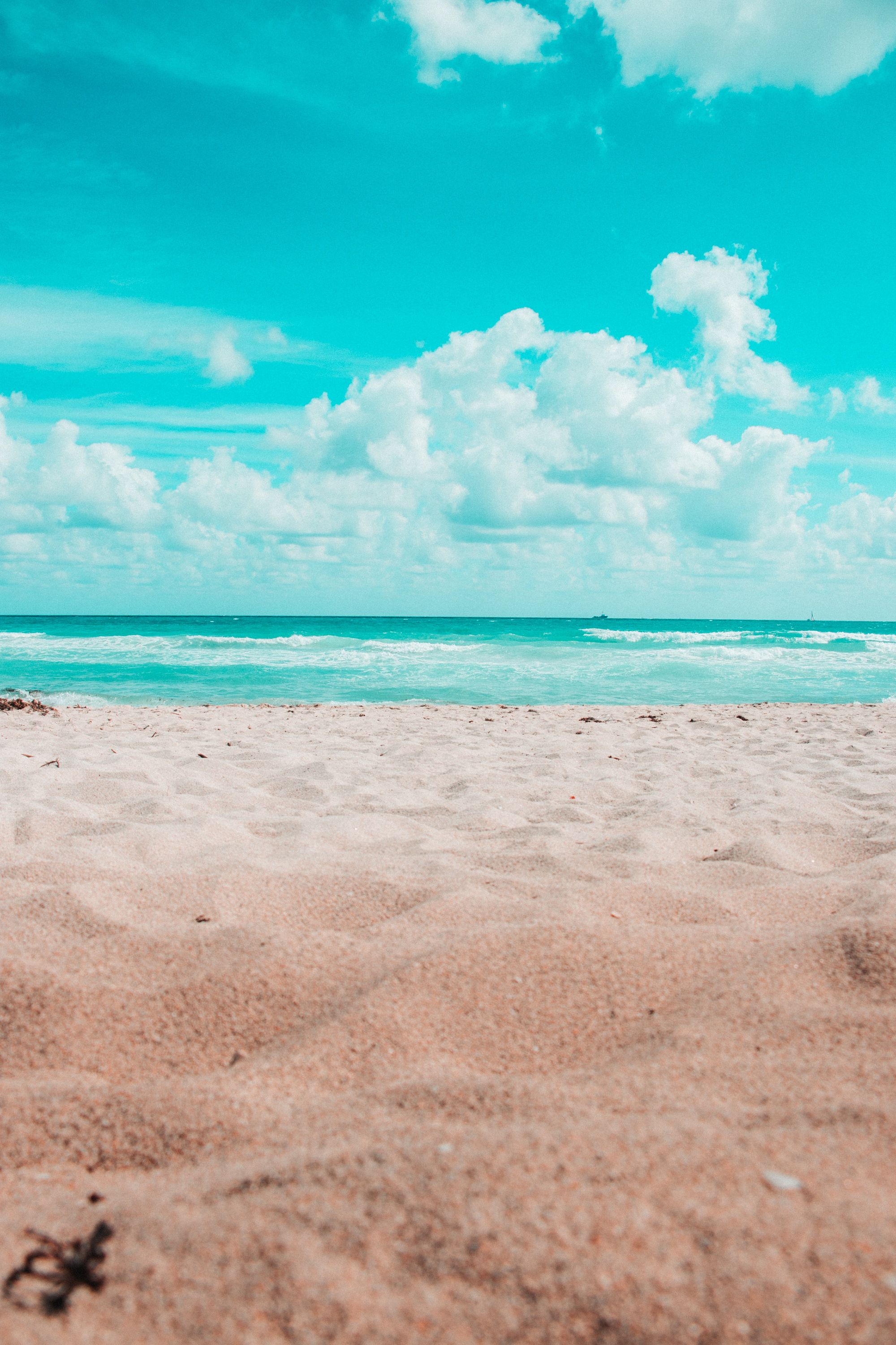 cute Florida wallpapers 0075