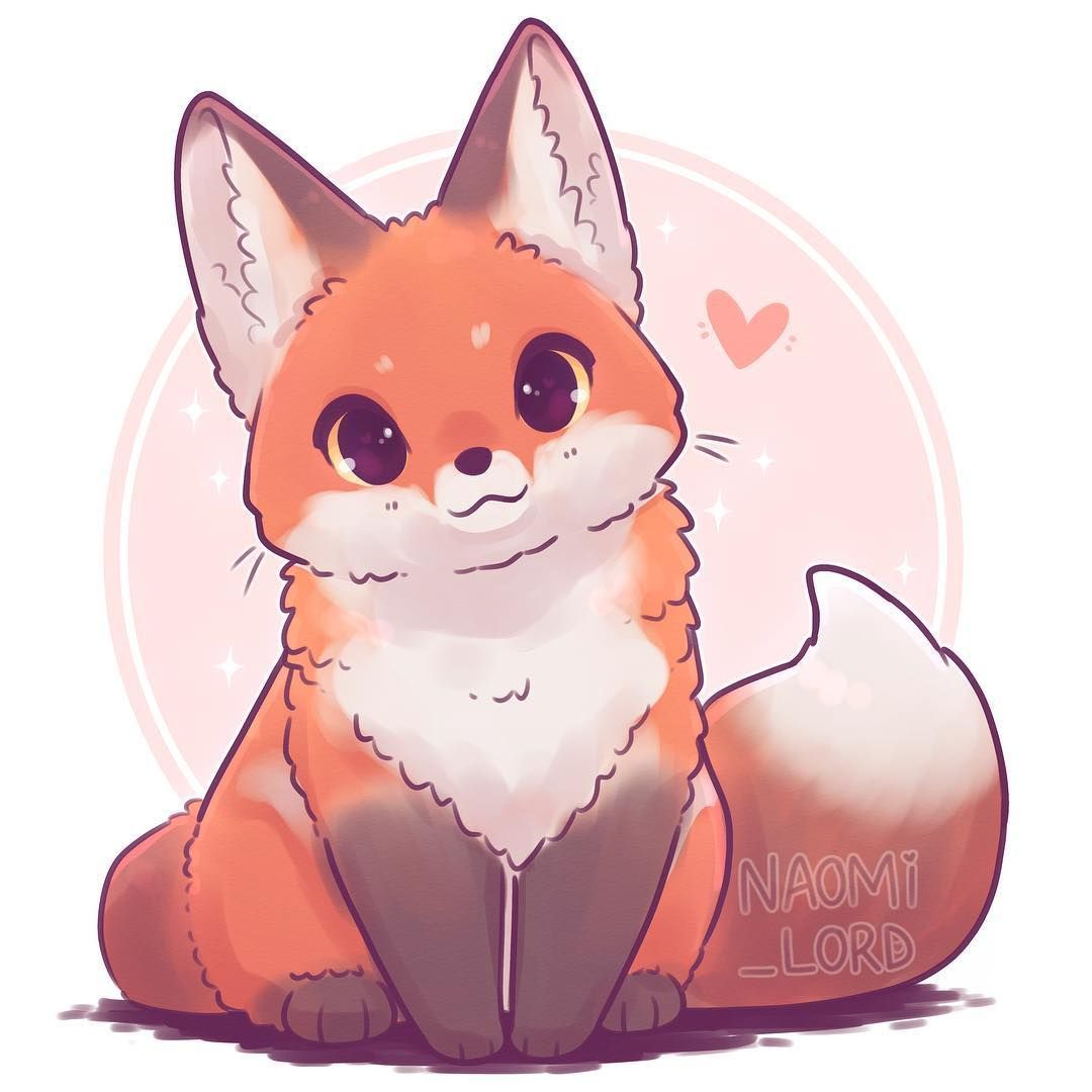 cute fox wallpapers 0011