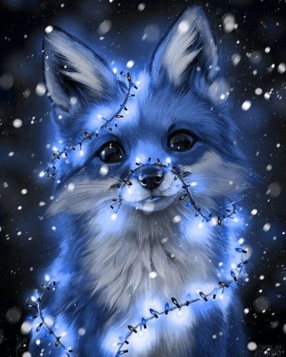 cute fox wallpapers 0063