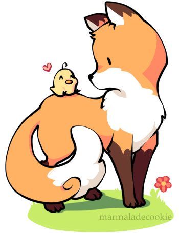 cute fox wallpapers 0067