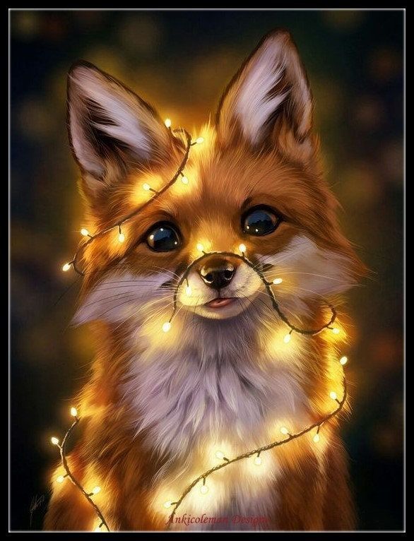 cute fox wallpapers 0078