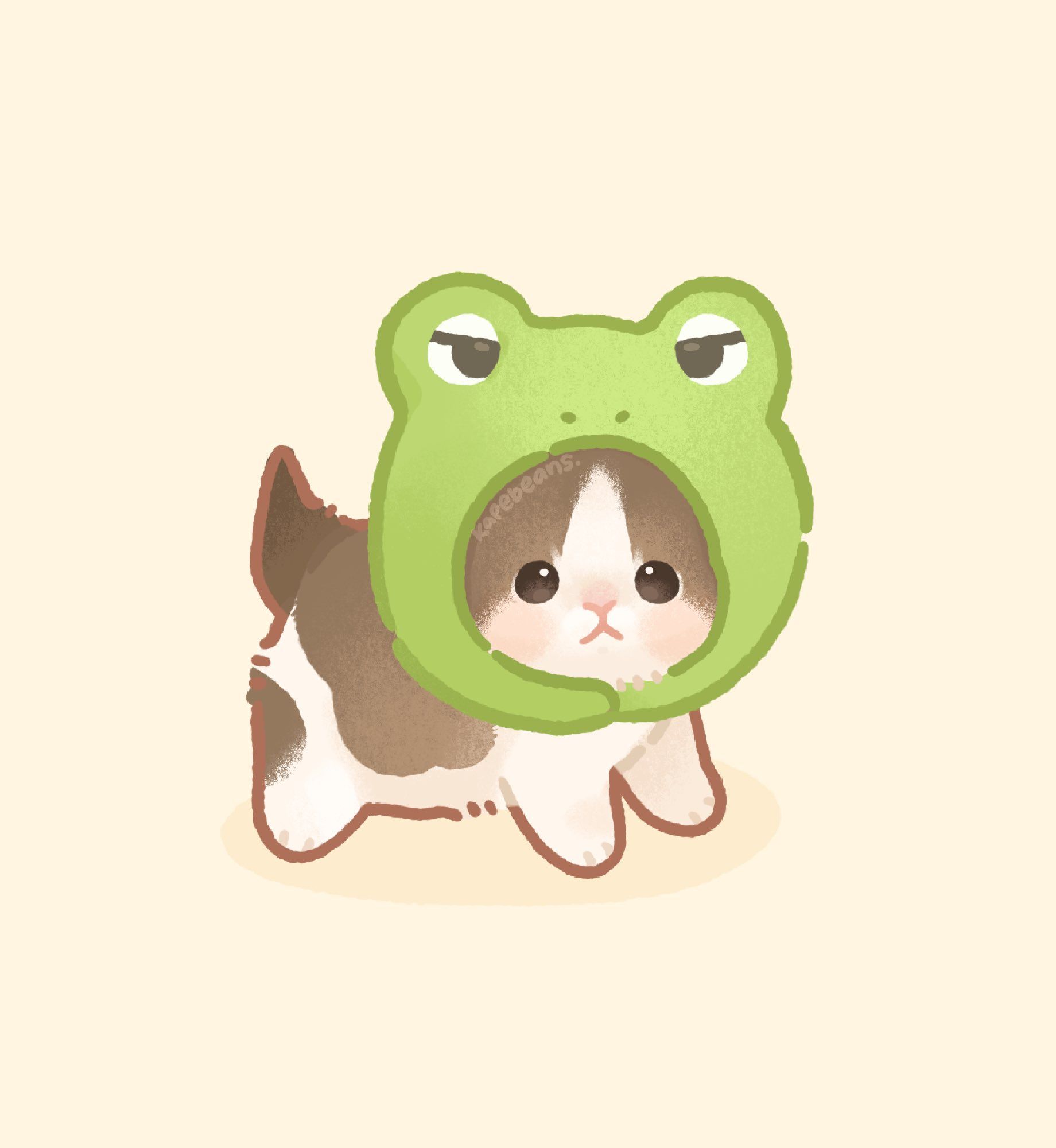 cute frog wallpapers 0013