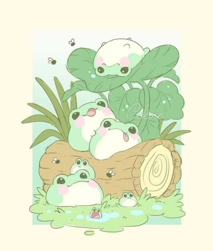 cute frog wallpapers 0021