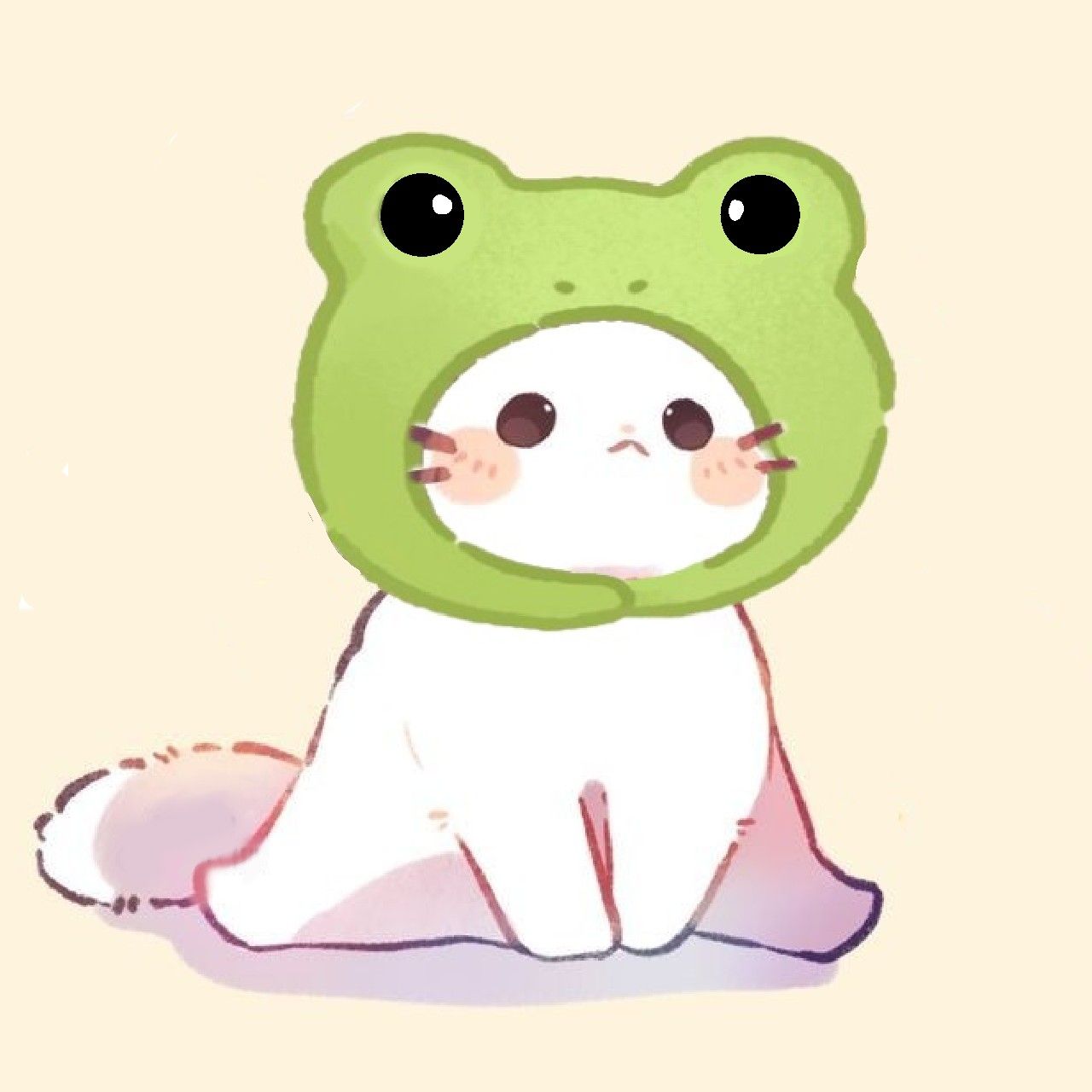 cute frog wallpapers 0067