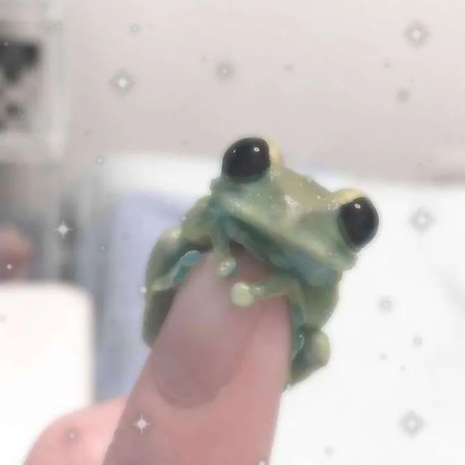 cute frog wallpapers 0082