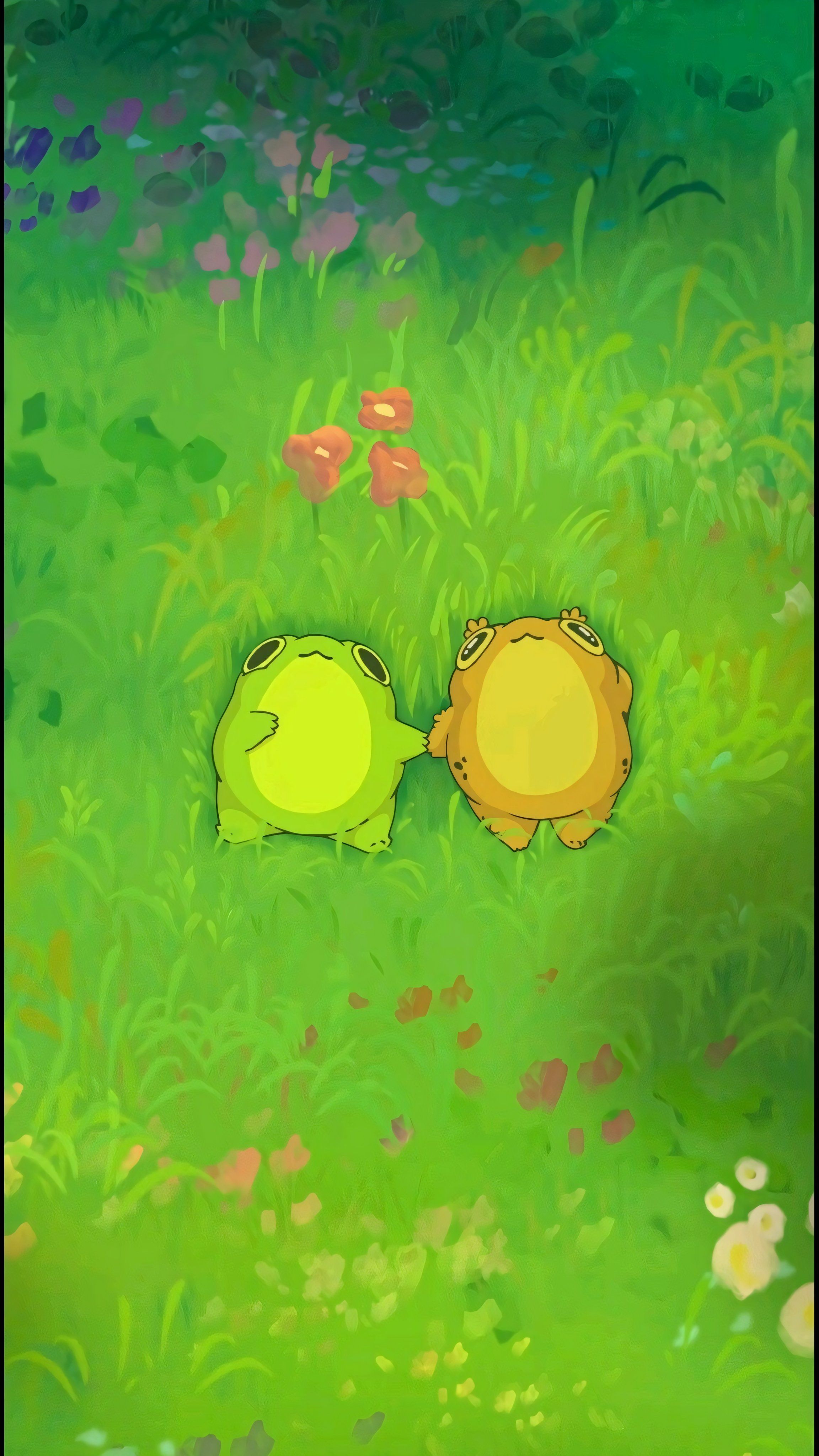 cute frog wallpapers 0091