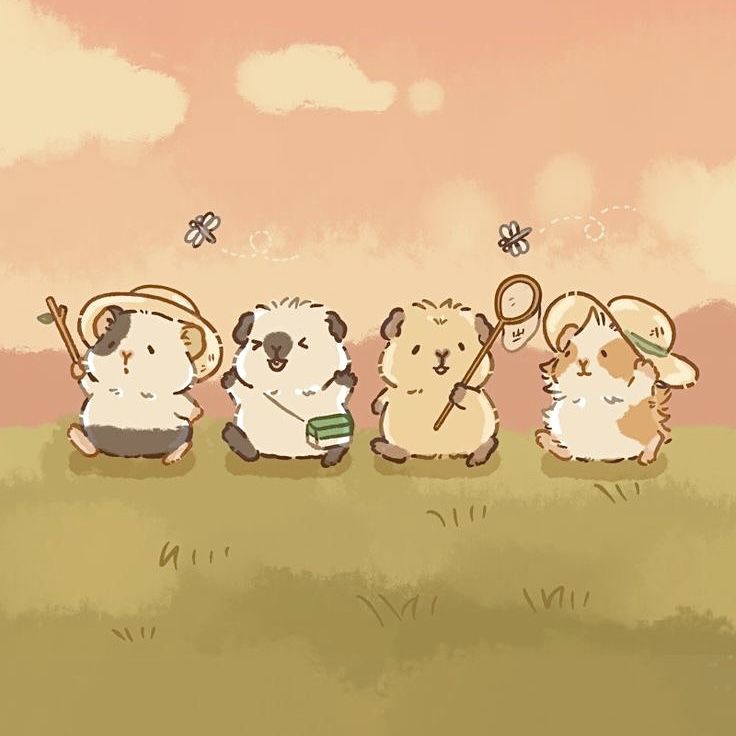 cute guinea pig wallpapers for phone